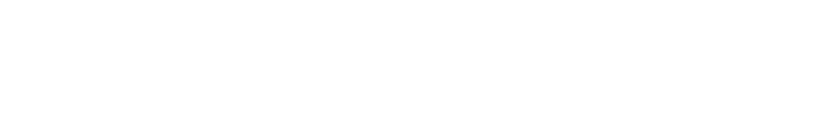 Capital Institute
