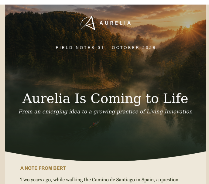 Field Notes 01: Aurelia Is Coming to Life